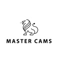 MasterCams, Торгово-монтажная компания