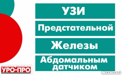 Уро про ростов на дону сайт. УЗИ уро-про Ростов-на-Дону. Уро про Ростов Чирва. Уро про логотип. Уро-про Ростов-на-Дону большая Садовая.