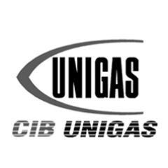 CIB Unigas 2570054 Регулятор давления