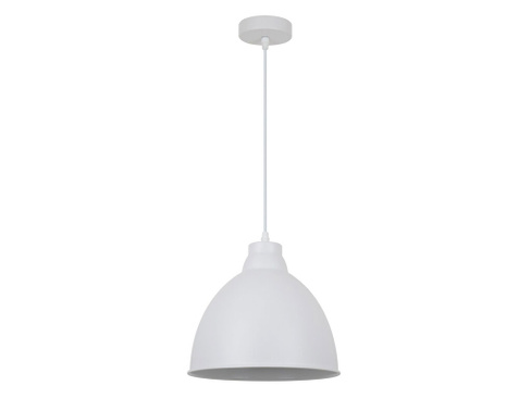 Светильник Arte Lamp BRACCIO A2055SP-1WH