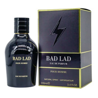 Мужская парфюмерная вода Fragrance World Bad Lad Pour Homme 100 мл