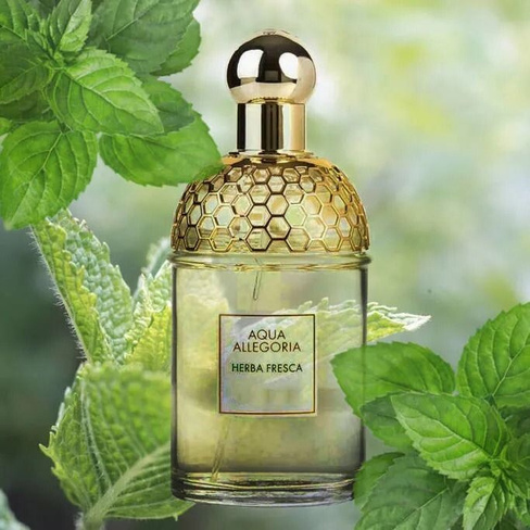 Туалетная вода Guerlain Aqua Allegoria Herba Fresca женская, 75 мл