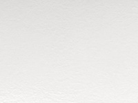 Стеновая панель BTS Белый мрамор