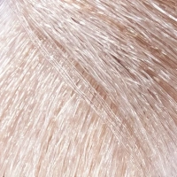 CONSTANT DELIGHT 10/2 краска с витамином С для волос, светлый блондин пепельный 100 мл