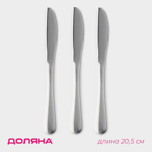 Набор ножей десертных из нержавеющей стали доляна, h=20,5 см, толщина рабочей части 2,2 мм, толщина ручки 5 мм, 410 стал