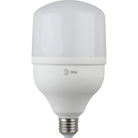 Светодиодная лампа ЭРА LED smd POWER 20W-2700-E27