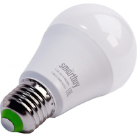 Светодиодная лампа Smartbuy SBL-A60_24-48-11-40K-E27